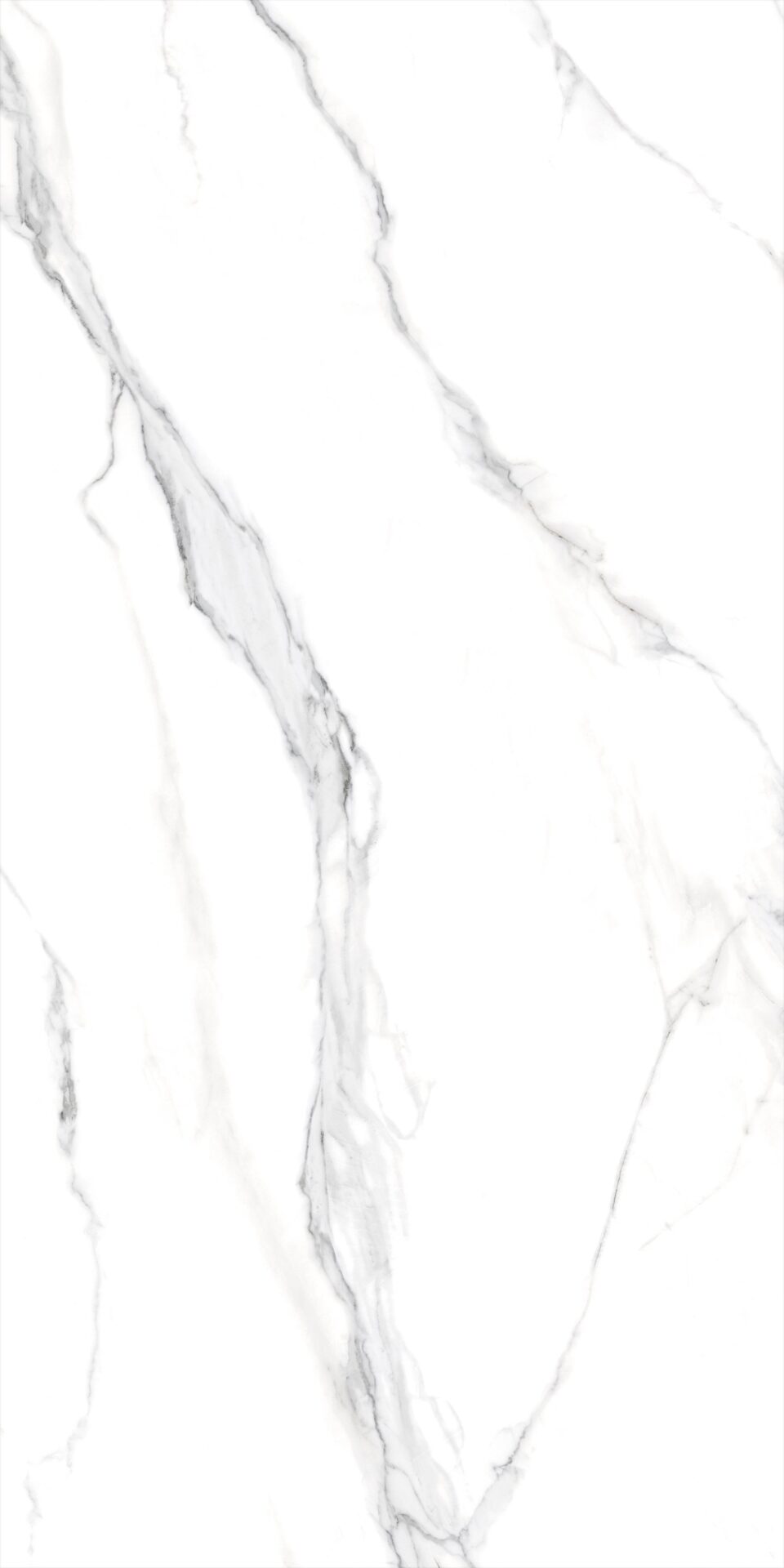 CALACATA SILVER 105CC11 - Image 3