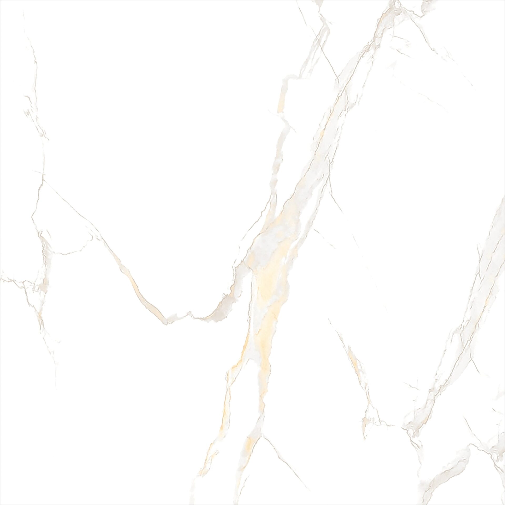 ECO 1B 9080B11 - Image 2