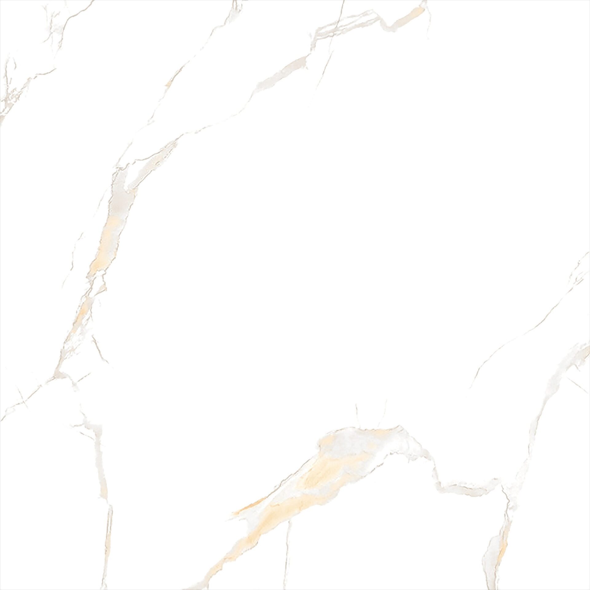 ECO 1B 9080B11 - Image 3