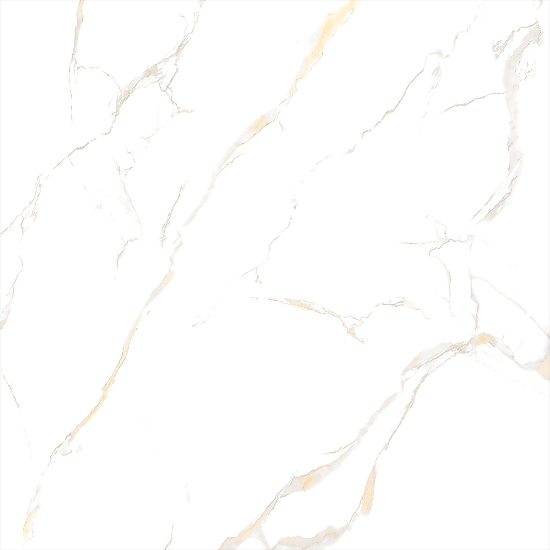 ECO 1B 9080B11 - Image 4