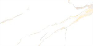 ECO 1B 9135A21