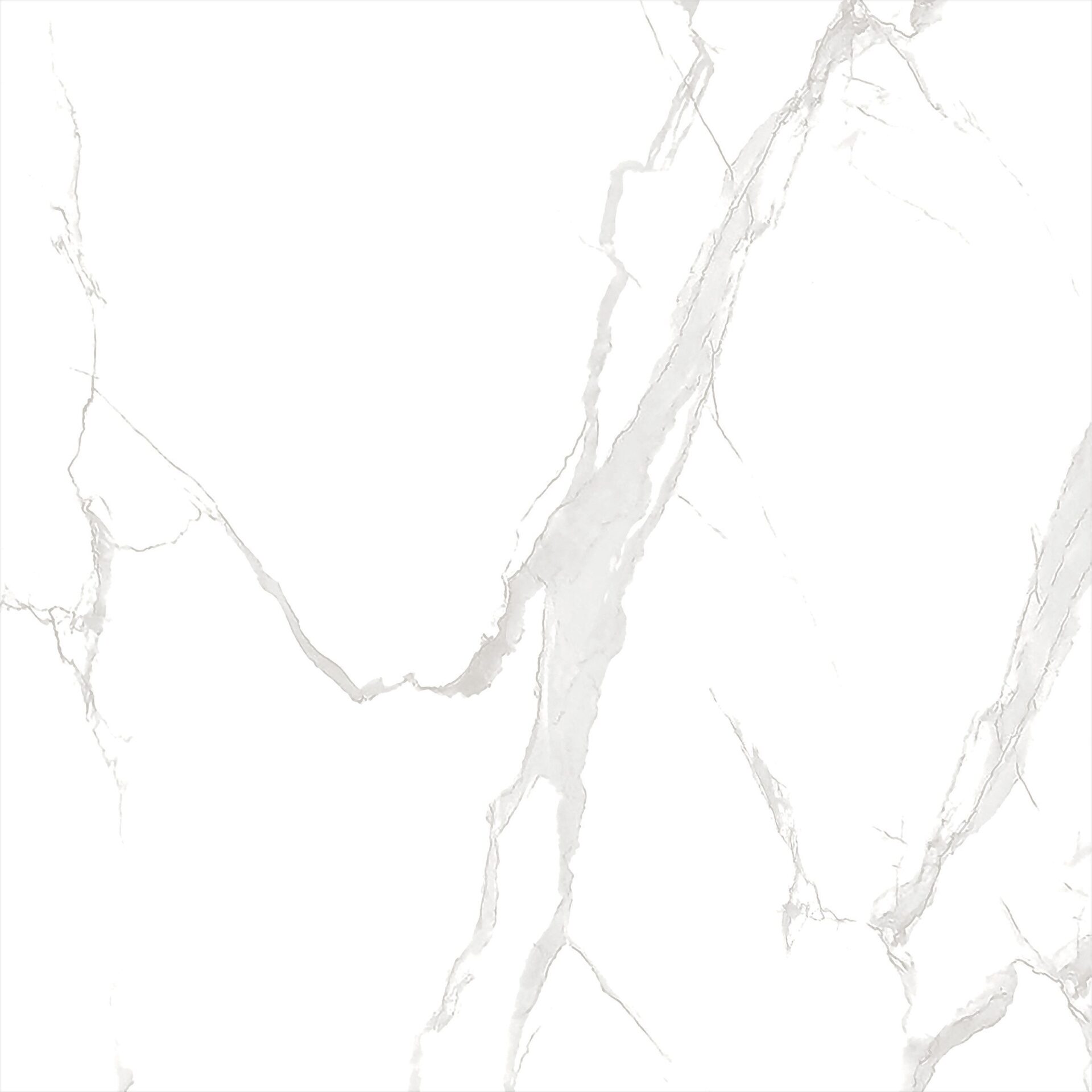 ECO 1G 9079B11 - Image 4