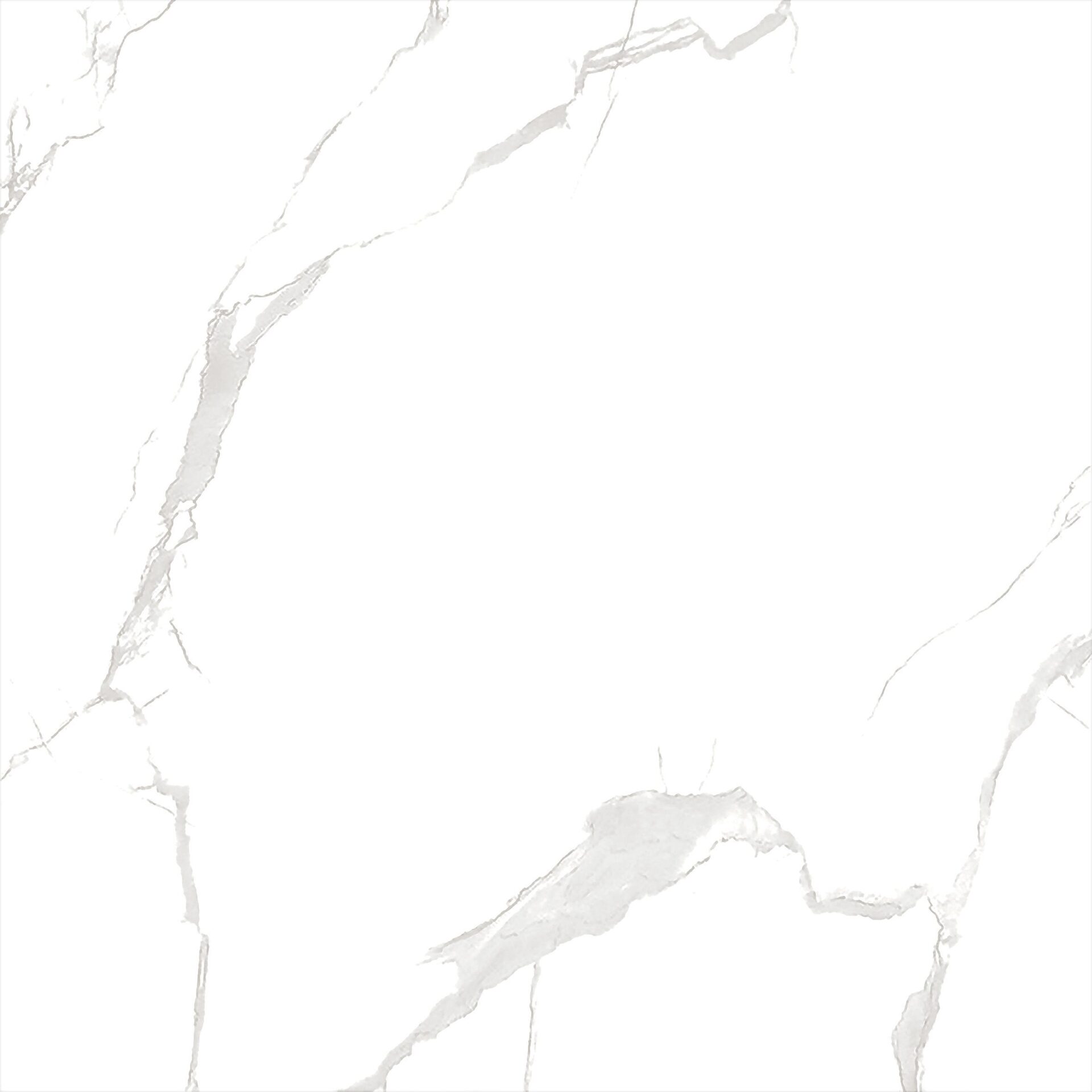 ECO 1G 9079B11 - Image 3