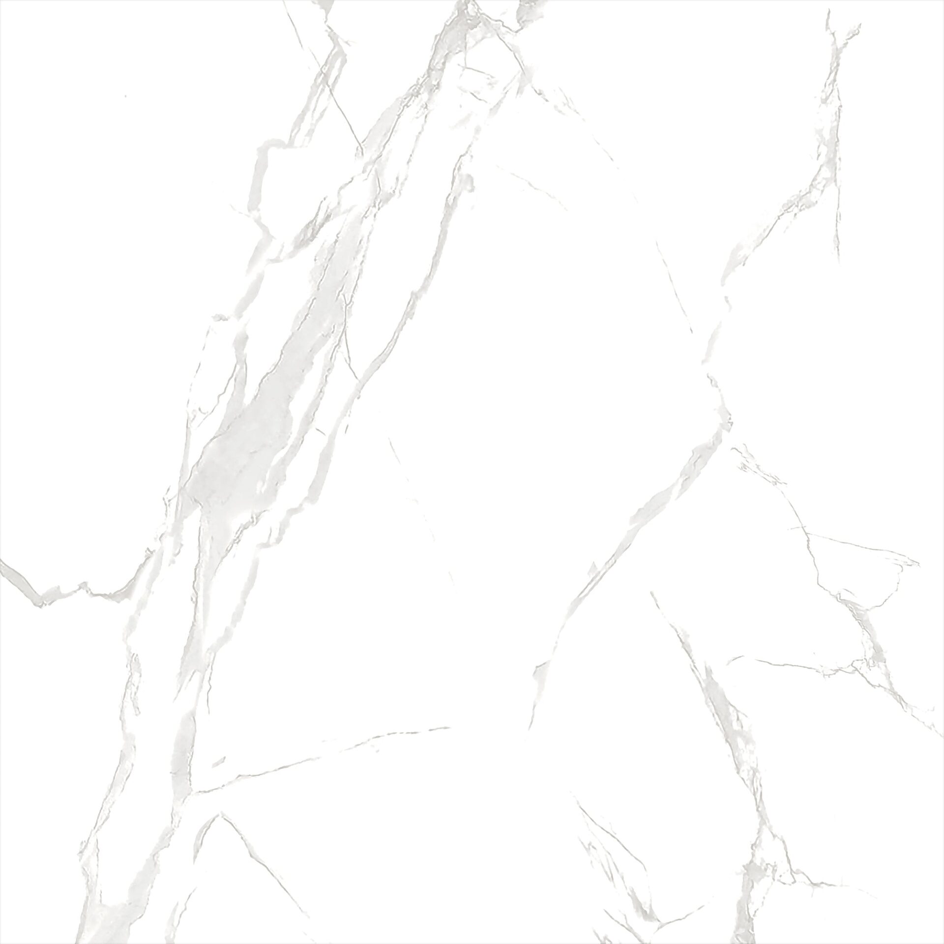 ECO 1G 9079B11 - Image 2
