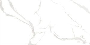 ECO 1G 9136A21