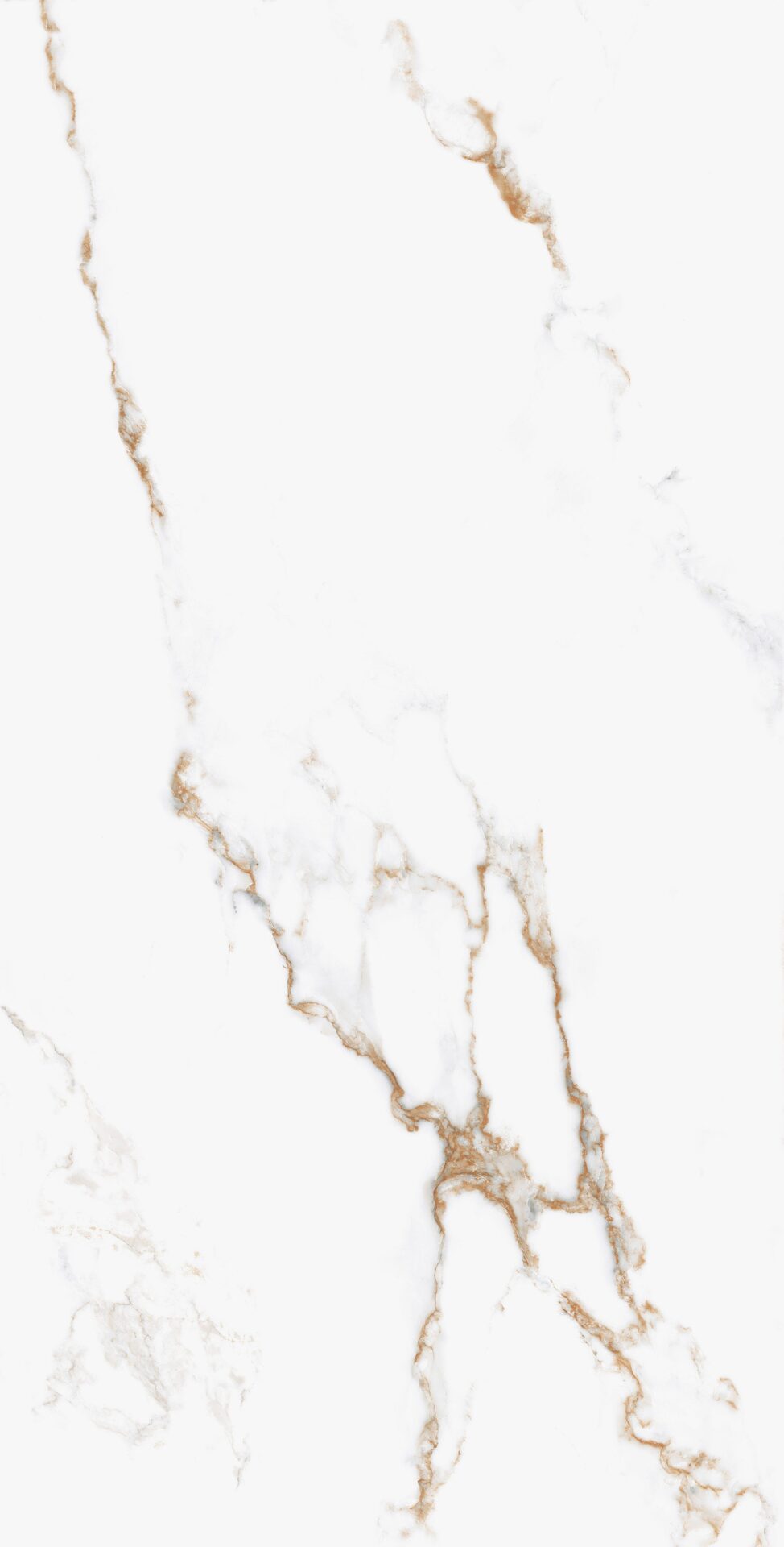 THASOS GOLD POLISHED 102CP11 - Image 4