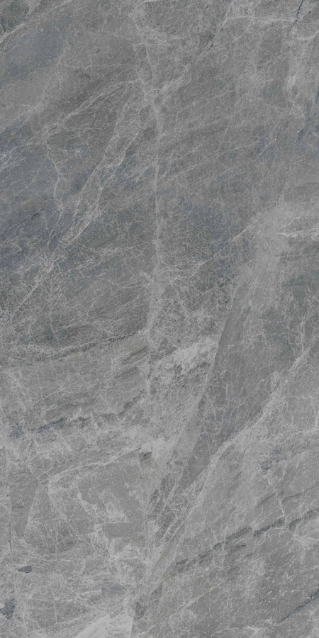 FOCUS GREY 178CC11 - Image 2
