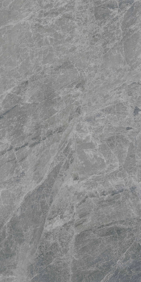 FOCUS GREY 178CC11 - Image 3